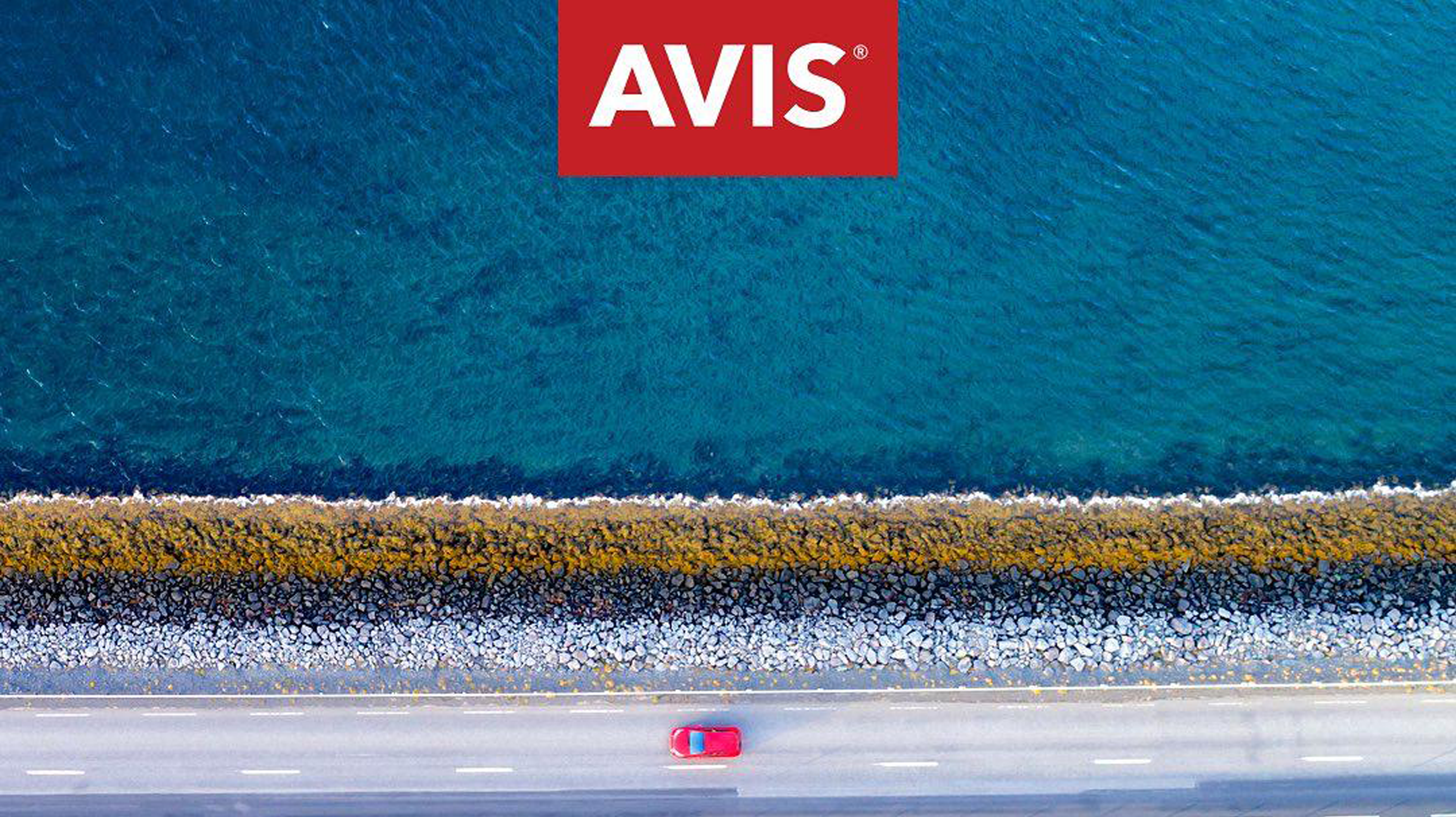 Avis Car Rental